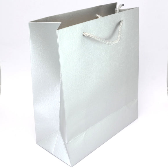 Medium gift bag with handles - 250 x 210 x 100mm